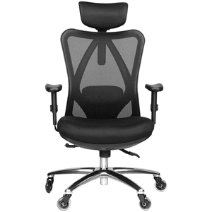 Duramont Ergonomic Adjustable Office Chair with Lumbar Support