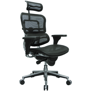 Ergohuman High Back Swivel Chair with Headrest